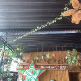 Mái xếp Tuấn phát.380 huyện cần giờ TPHCM 